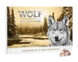 Wolf of Wilderness